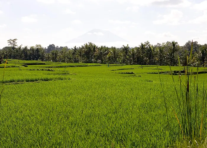 Viceroy Bali リゾート 5*