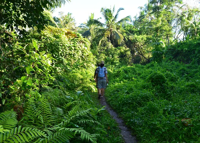 Viceroy Bali