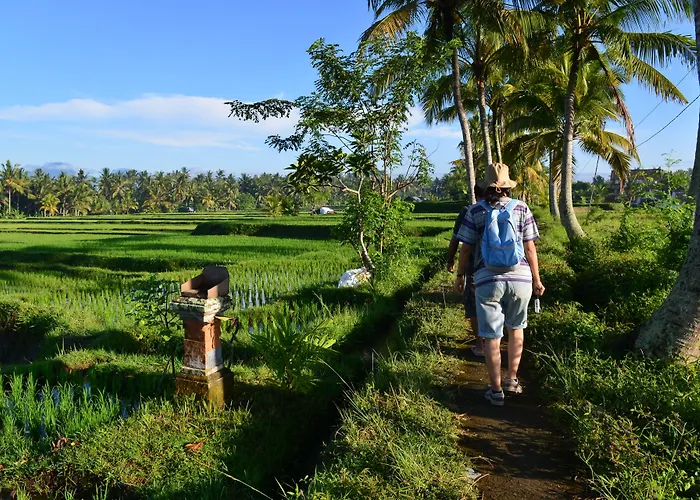 Viceroy Bali リゾート 5*