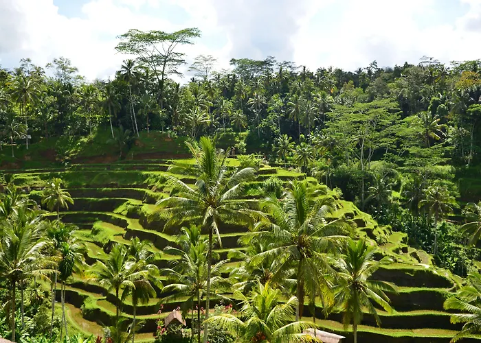Viceroy Bali リゾート 5*