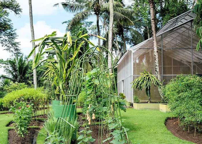 Viceroy Bali 5*